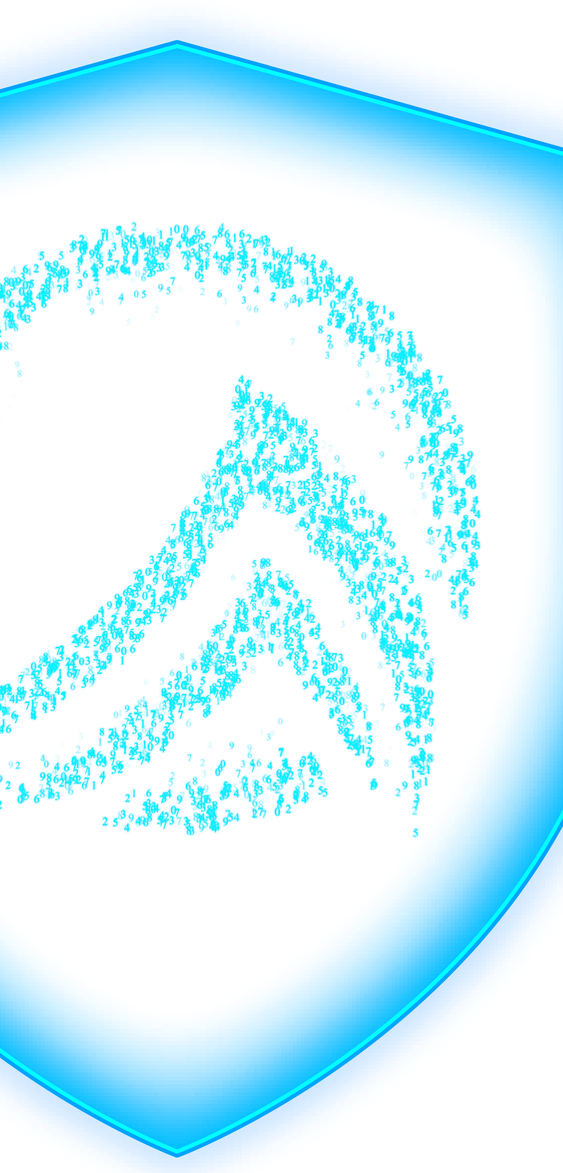 AegisX BACK 1080 SHIELD 5 (1)